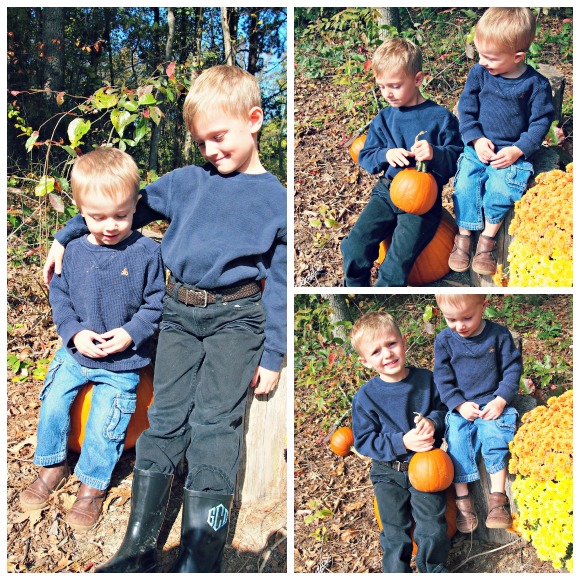annual pumpkin pictures